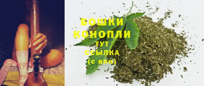 Бошки Шишки THC 21%  Купино 